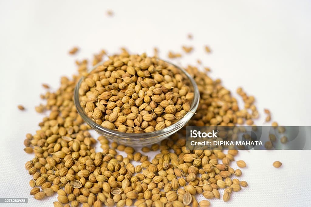 Coriander Seeds